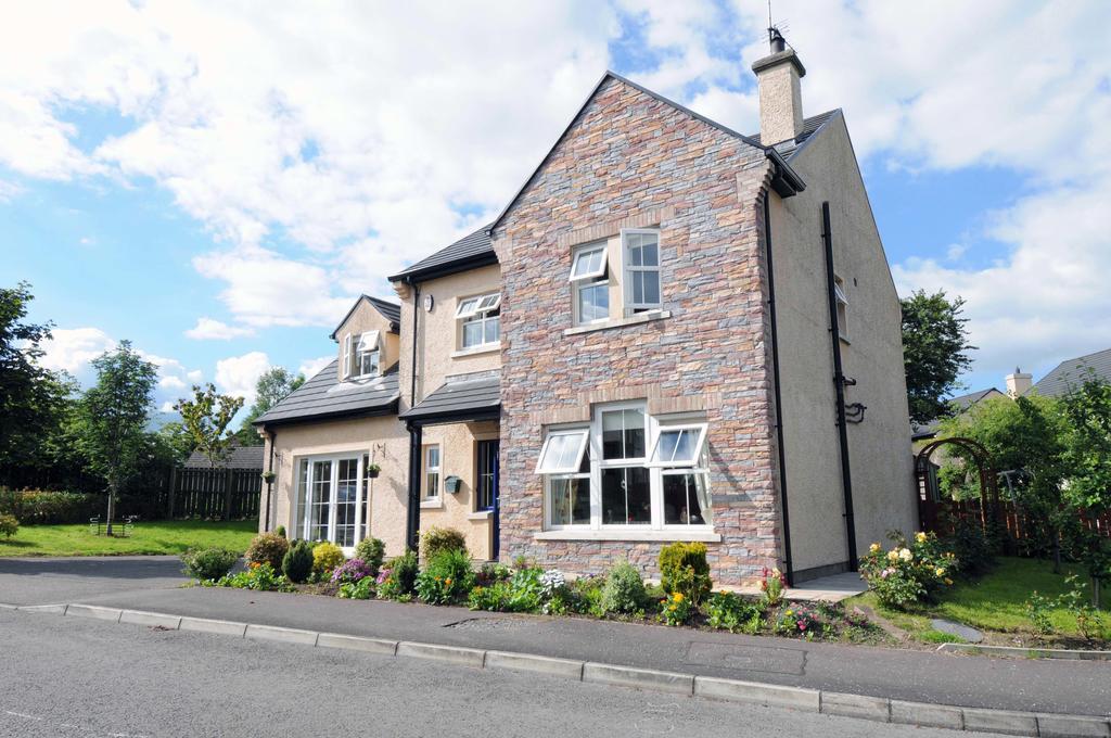 Slieve Rushen Bed and Breakfast Derrylin Eksteriør billede